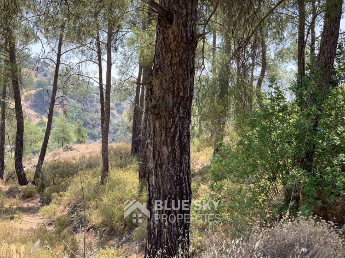 Picture of Home For Sale in Gerasa, Limassol, Cyprus