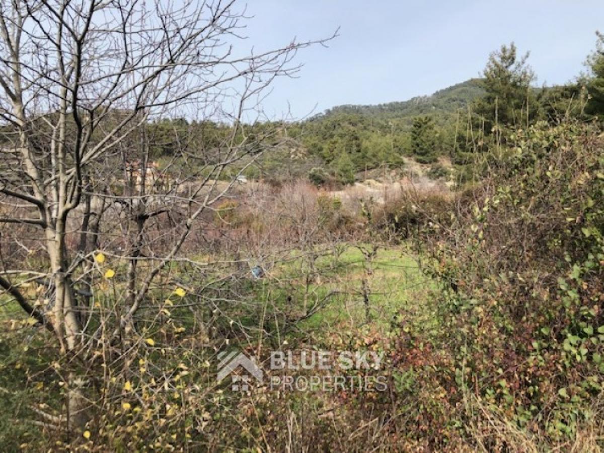 Picture of Home For Sale in Kato Platres, Limassol, Cyprus