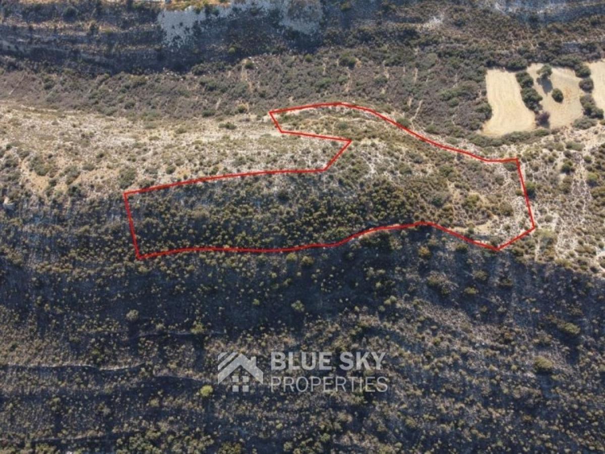 Picture of Residential Land For Sale in Agia Filaxi, Limassol, Cyprus
