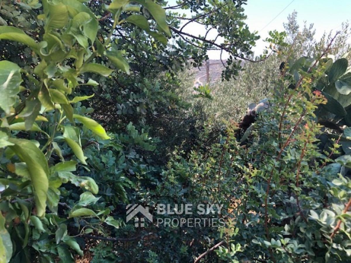 Picture of Home For Sale in Palodeia, Limassol, Cyprus