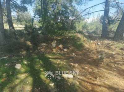 Home For Sale in Souni, Cyprus