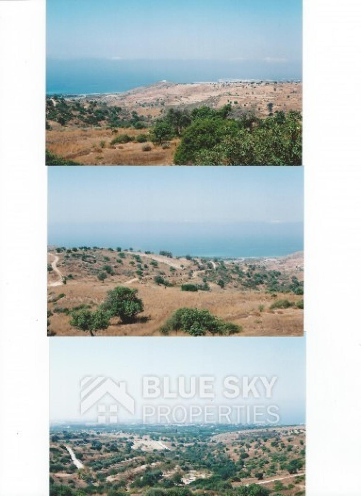 Picture of Residential Land For Sale in Tala, Paphos, Cyprus