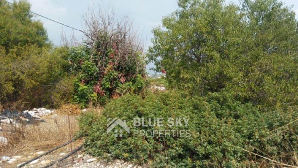 Picture of Home For Sale in Tala, Paphos, Cyprus