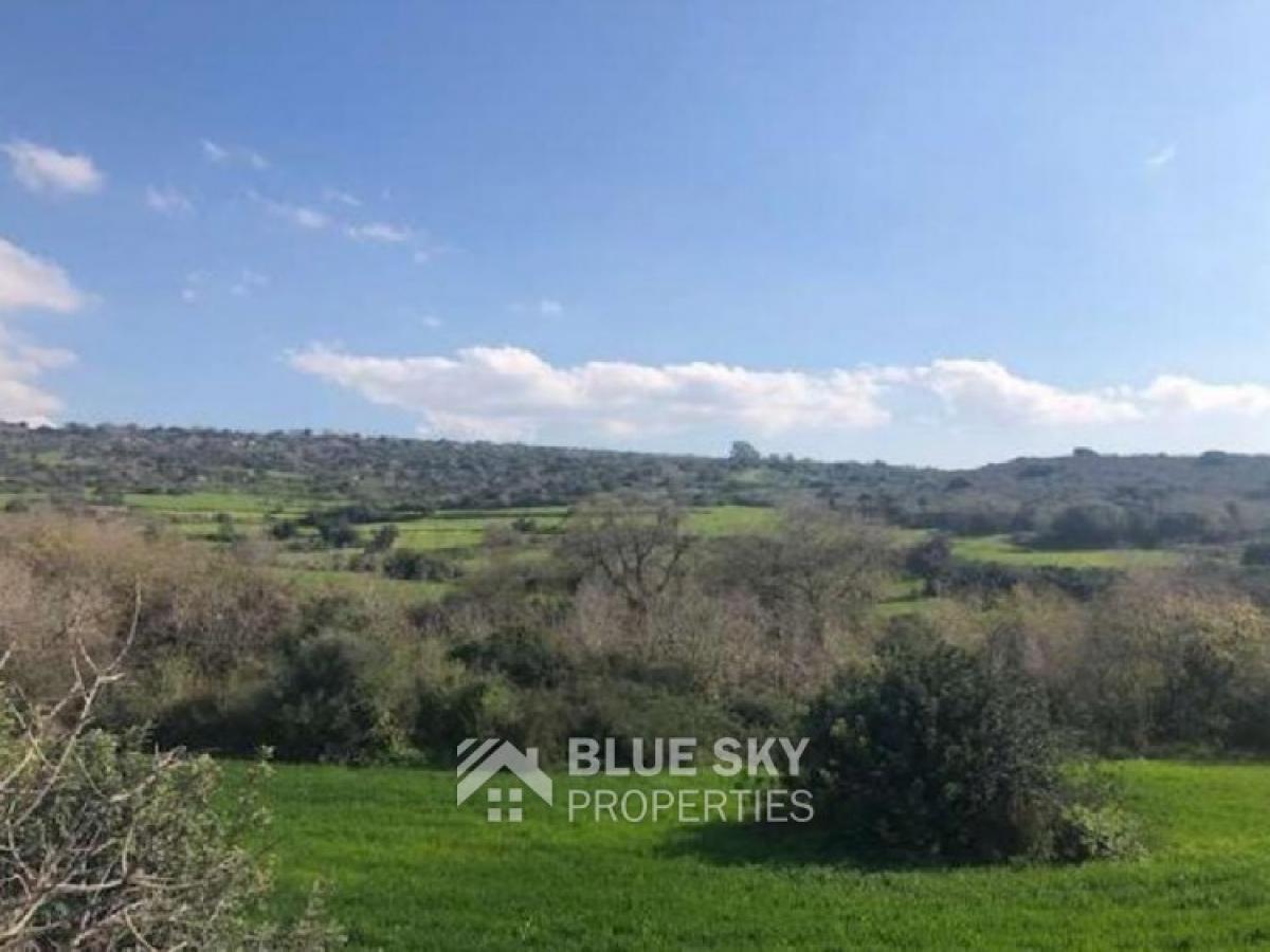 Picture of Residential Land For Sale in Tala, Paphos, Cyprus