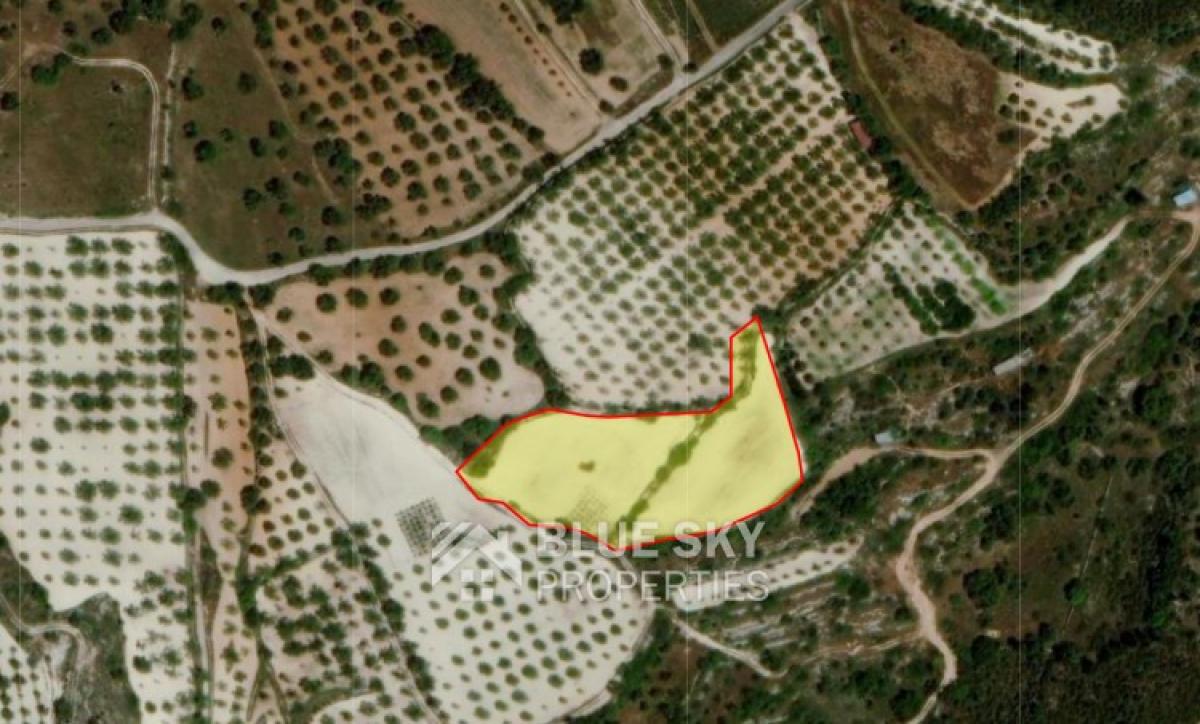Picture of Residential Land For Sale in Mesa Chorio, Paphos, Cyprus