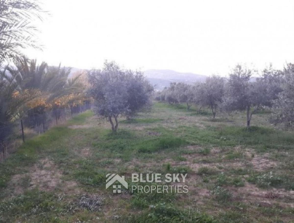 Picture of Home For Sale in Goudi, Paphos, Cyprus