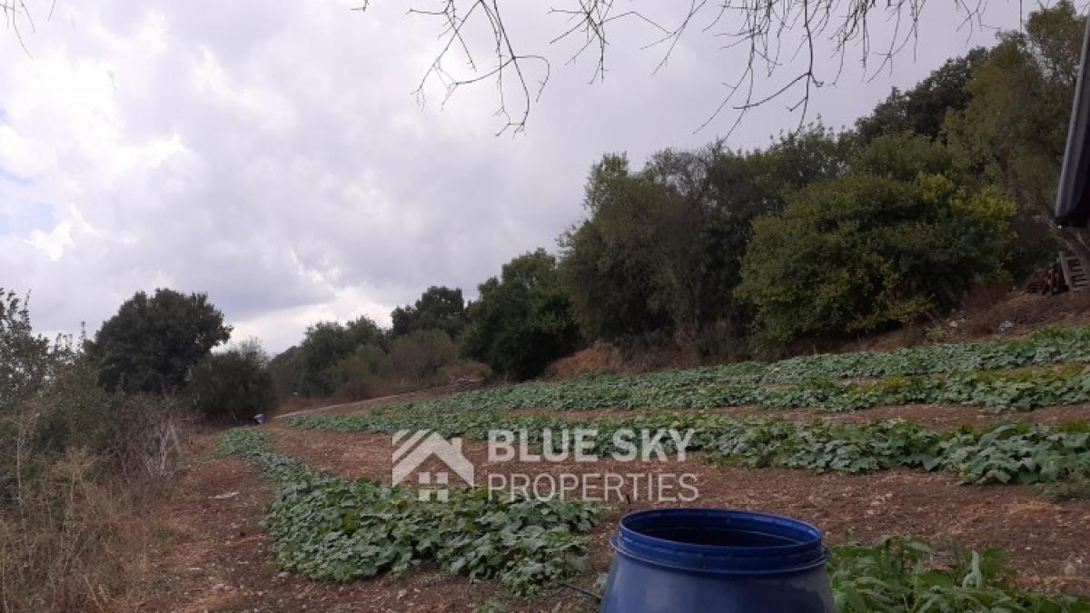 Picture of Home For Sale in Polemi, Paphos, Cyprus