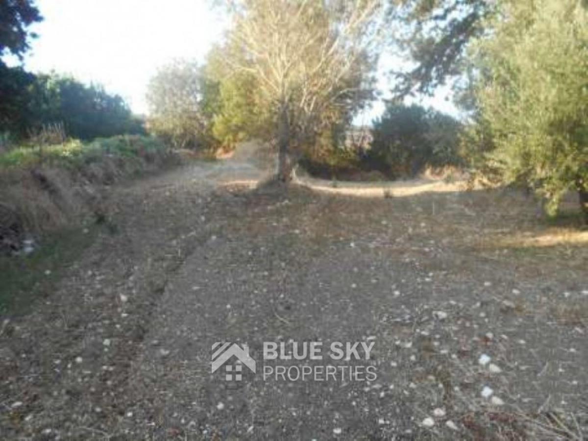 Picture of Home For Sale in Armou, Paphos, Cyprus