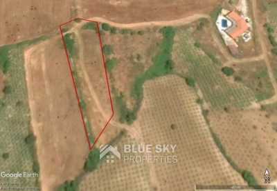 Home For Sale in Kathikas, Cyprus