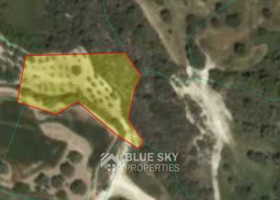 Residential Land For Sale in Drousia, Cyprus