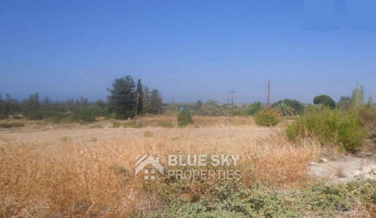 Picture of Home For Sale in Kouklia, Paphos, Cyprus