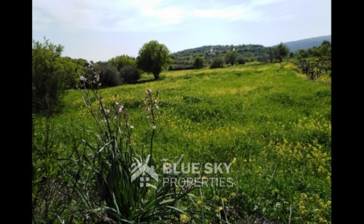 Picture of Home For Sale in Letymvou, Paphos, Cyprus