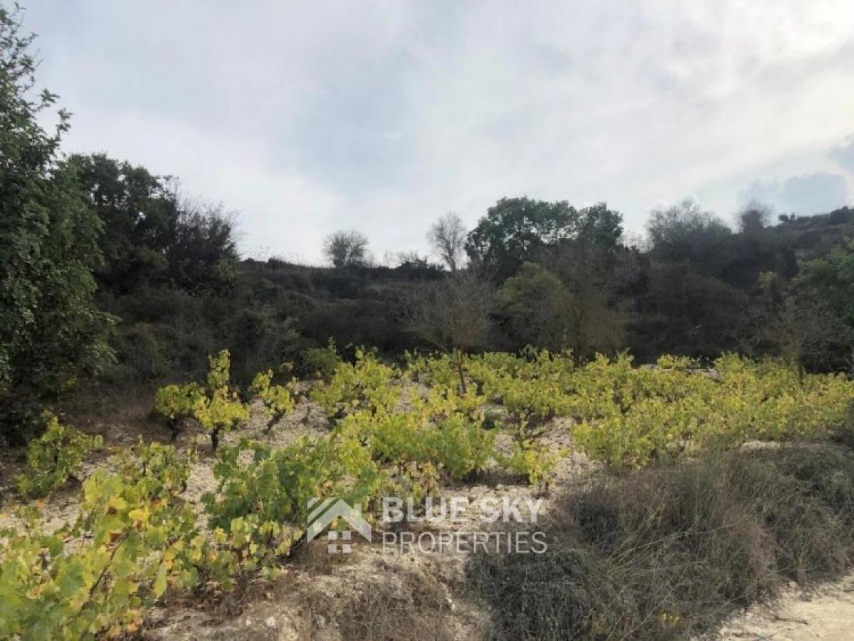Picture of Residential Land For Sale in Koili, Paphos, Cyprus