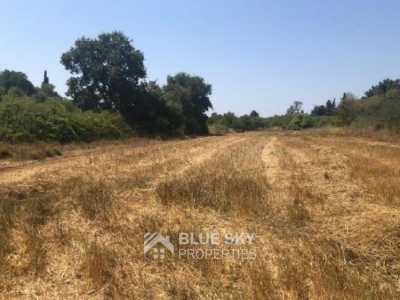 Home For Sale in Kathikas, Cyprus