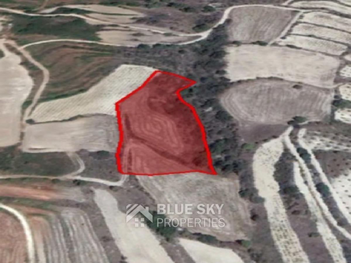 Picture of Residential Land For Sale in Drimou, Paphos, Cyprus