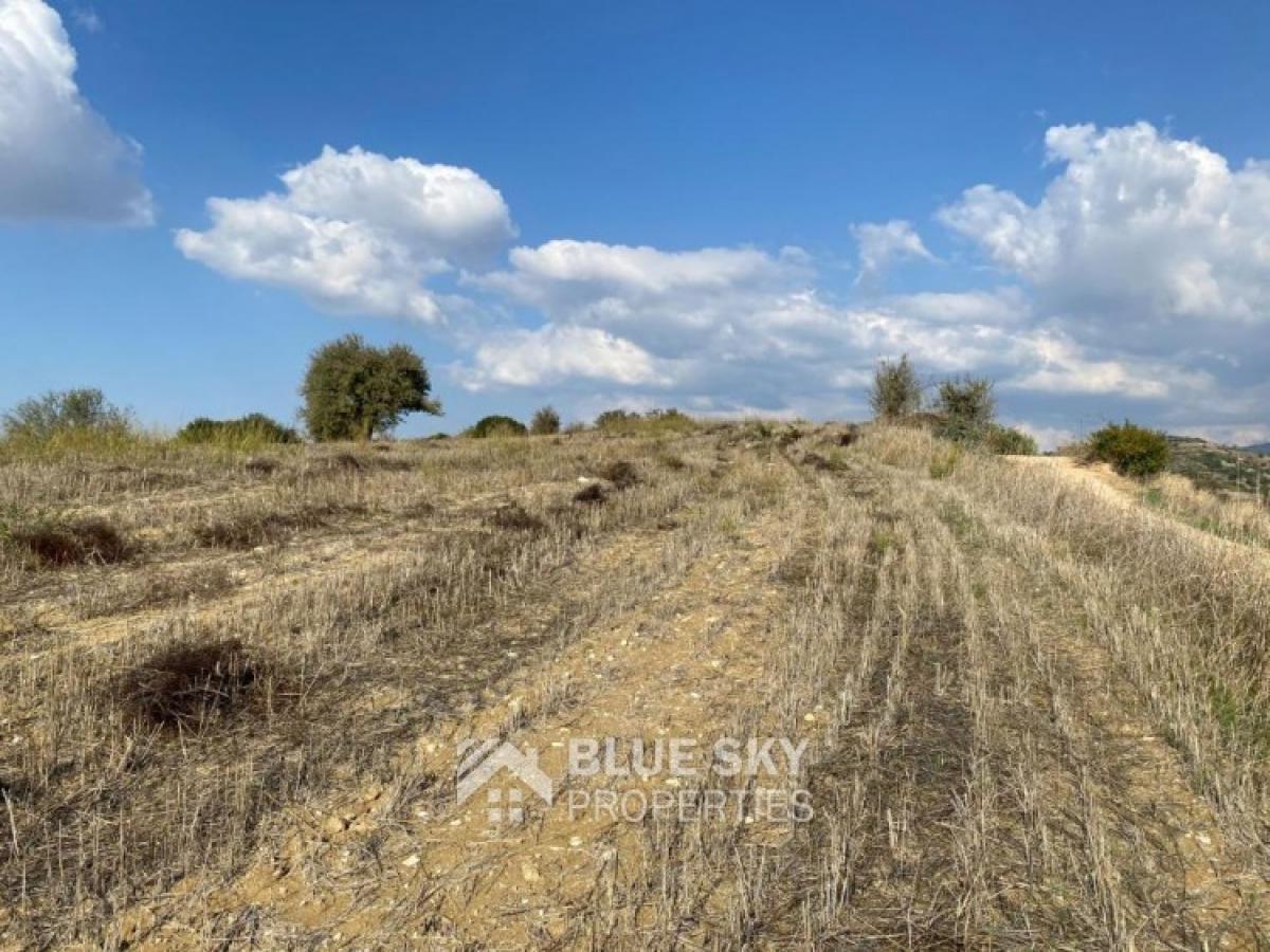 Picture of Residential Land For Sale in Lemona, Paphos, Cyprus