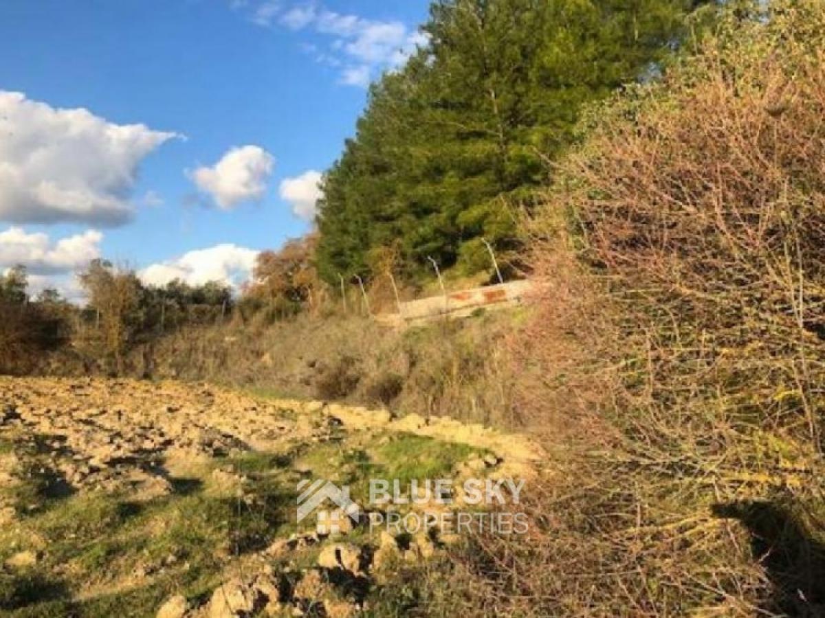 Picture of Residential Land For Sale in Lemona, Paphos, Cyprus