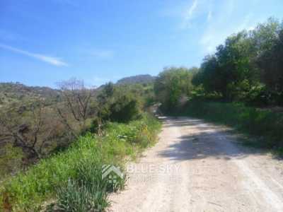 Home For Sale in Amargeti, Cyprus
