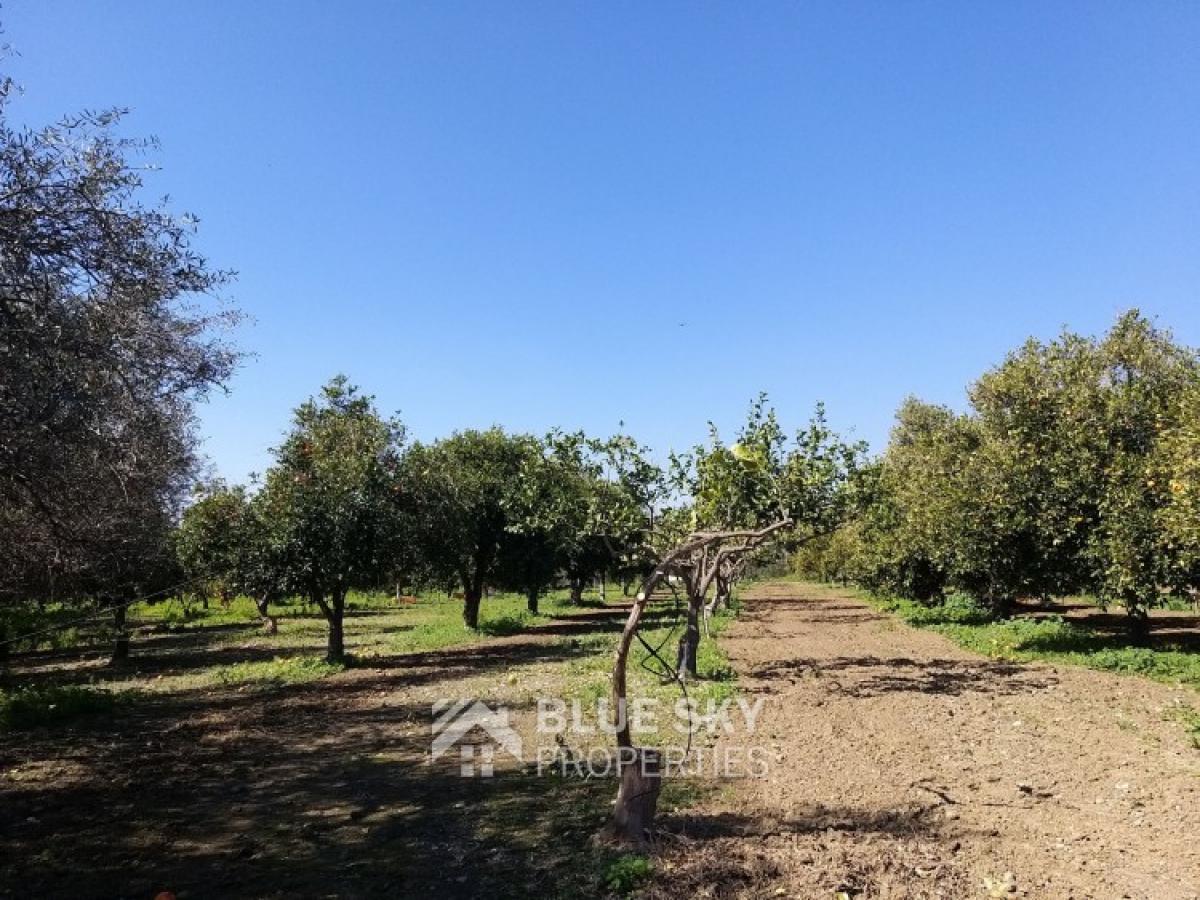 Picture of Residential Land For Sale in Moni, Limassol, Cyprus