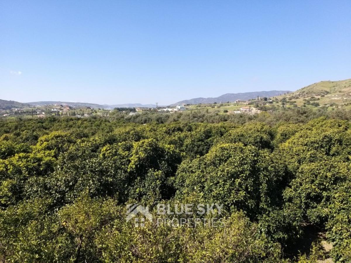 Picture of Residential Land For Sale in Moni, Limassol, Cyprus