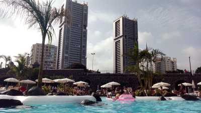 Apartment For Rent in 