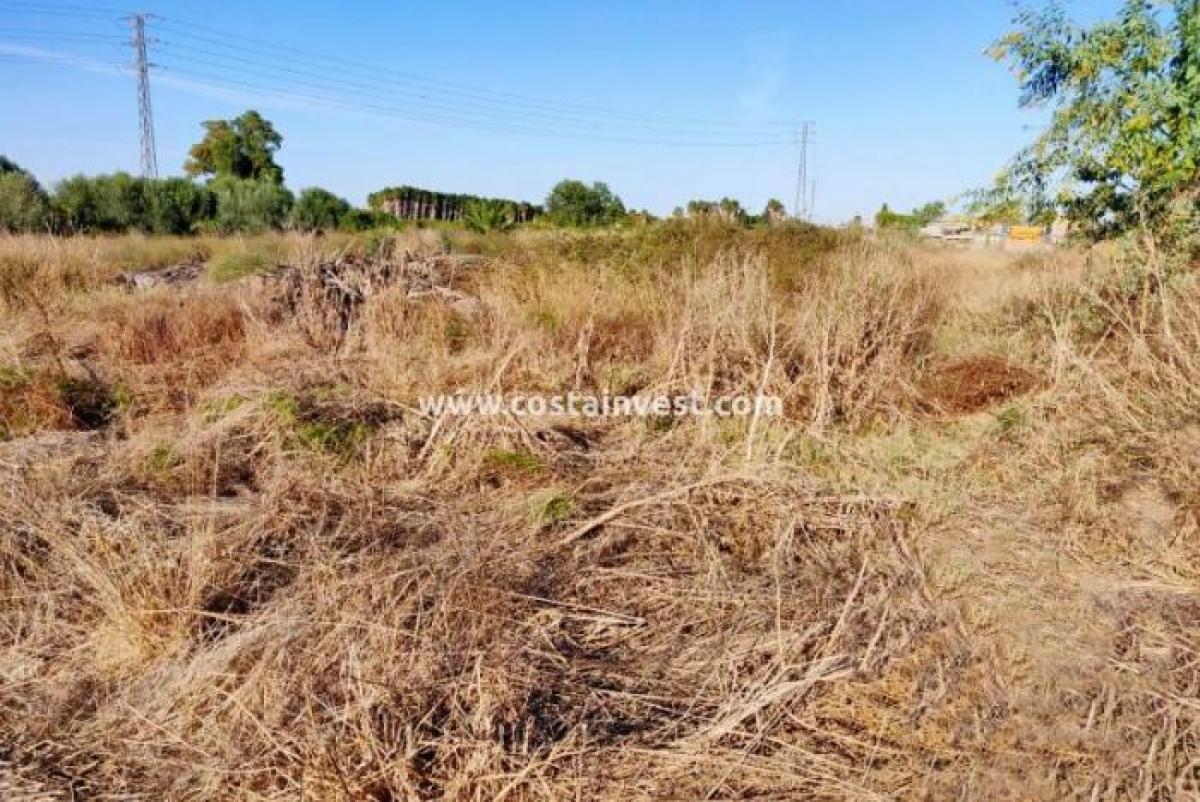 Picture of Residential Land For Sale in Bigastro, Alicante, Spain
