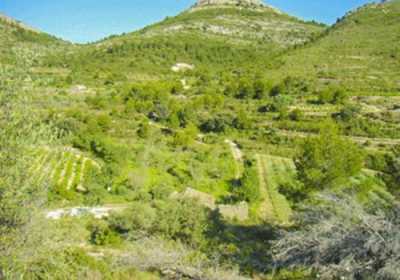 Residential Land For Sale in Lliber, Spain