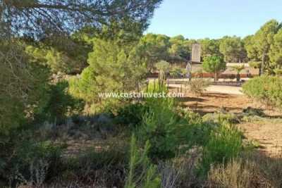 Residential Land For Sale in Pilar De La Horadada, Spain
