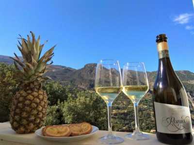 Apartment For Sale in