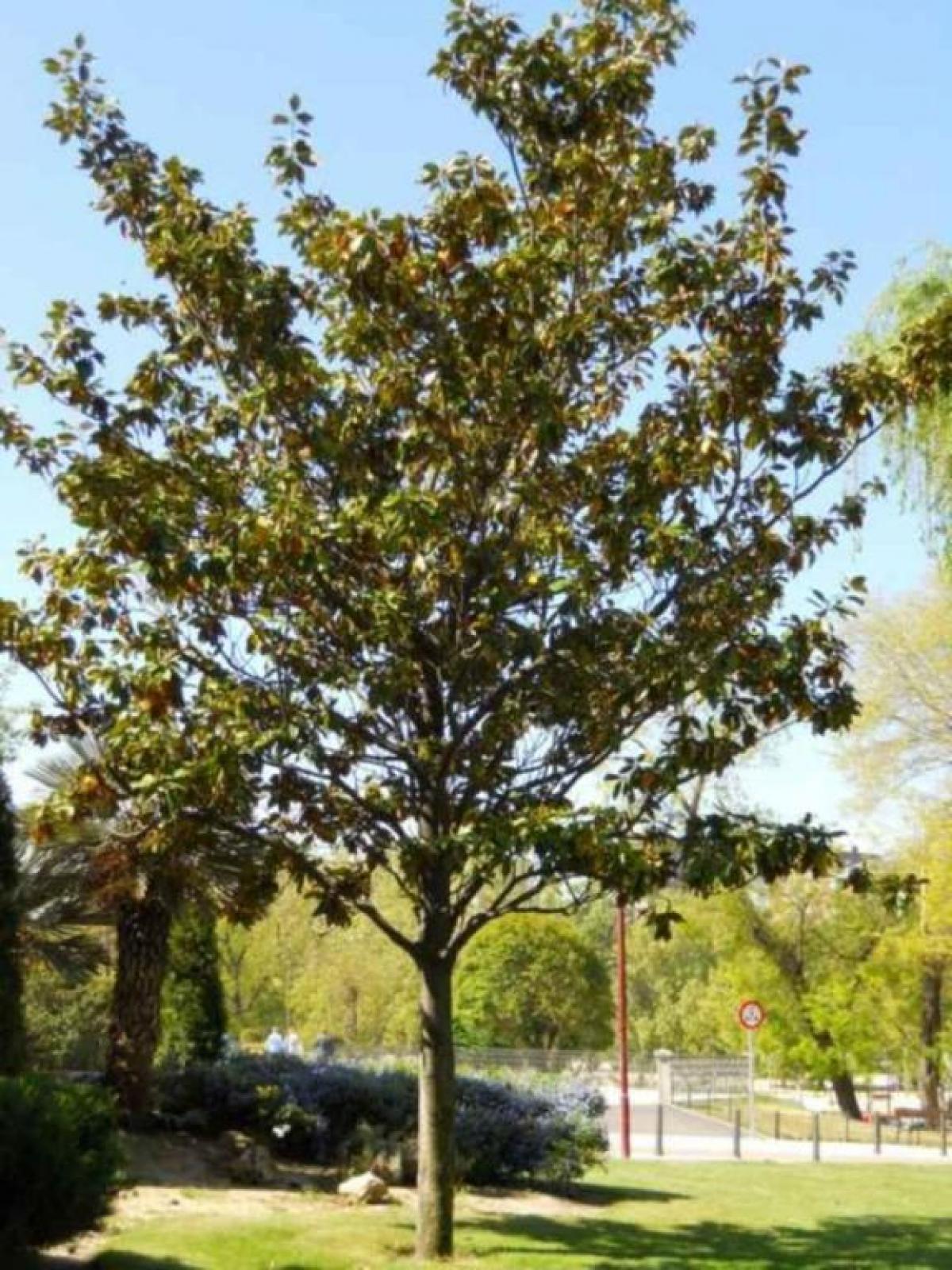 Picture of Apartment For Sale in Durcal, Granada, Spain