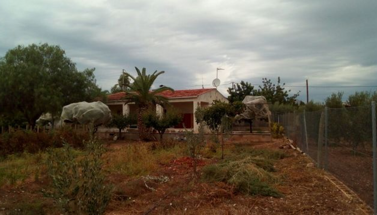 Picture of Home For Sale in Novelda, Alicante, Spain