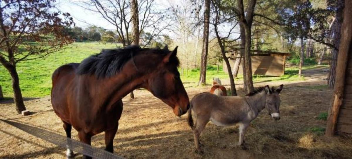 Picture of Home For Sale in Vidreres, Girona, Spain