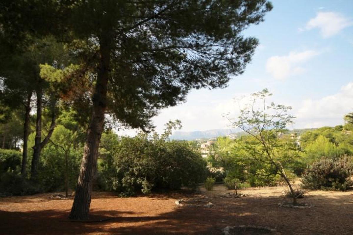 Picture of Residential Land For Sale in Benissa Costa, Alicante, Spain