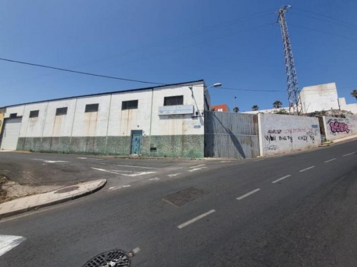 Picture of Home For Rent in Santa Cruz De Tenerife, Tenerife, Spain