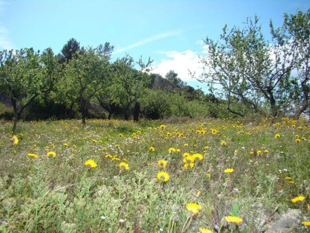 Picture of Residential Land For Sale in Benissa, Valencia, Spain