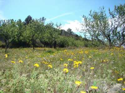 Residential Land For Sale in Benissa, Spain
