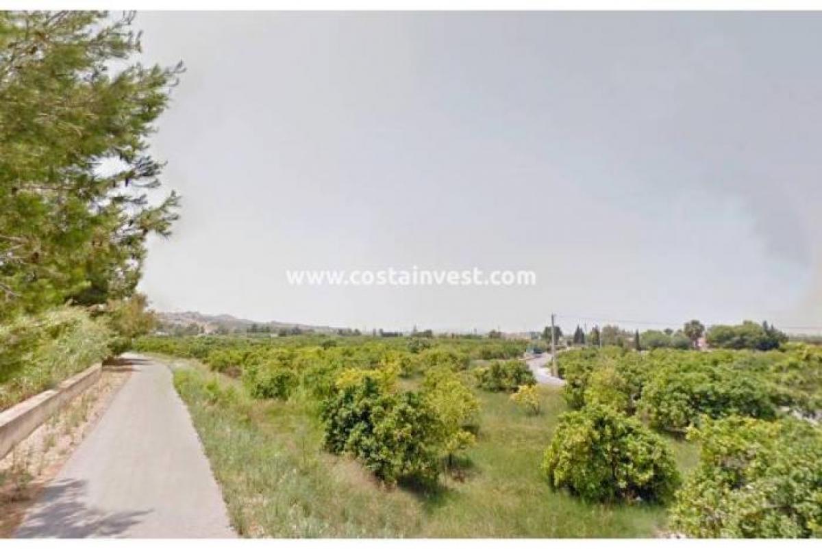 Picture of Residential Land For Sale in Rojales, Alicante, Spain