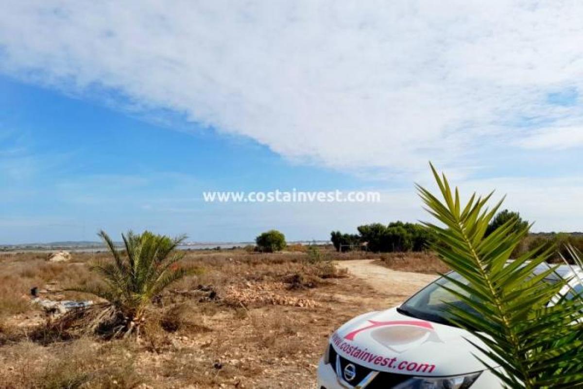 Picture of Residential Land For Sale in Torrevieja, Alicante, Spain