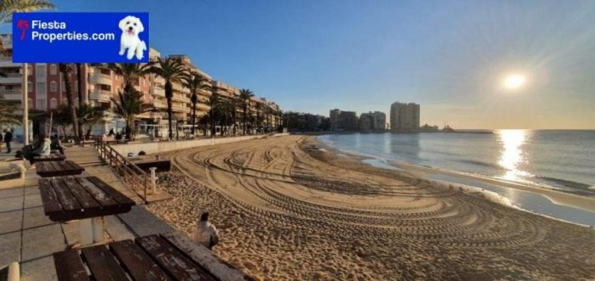 Picture of Retail For Sale in Torrevieja, Alicante, Spain