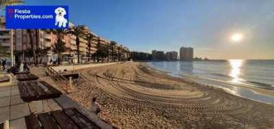 Retail For Sale in Torrevieja, Spain