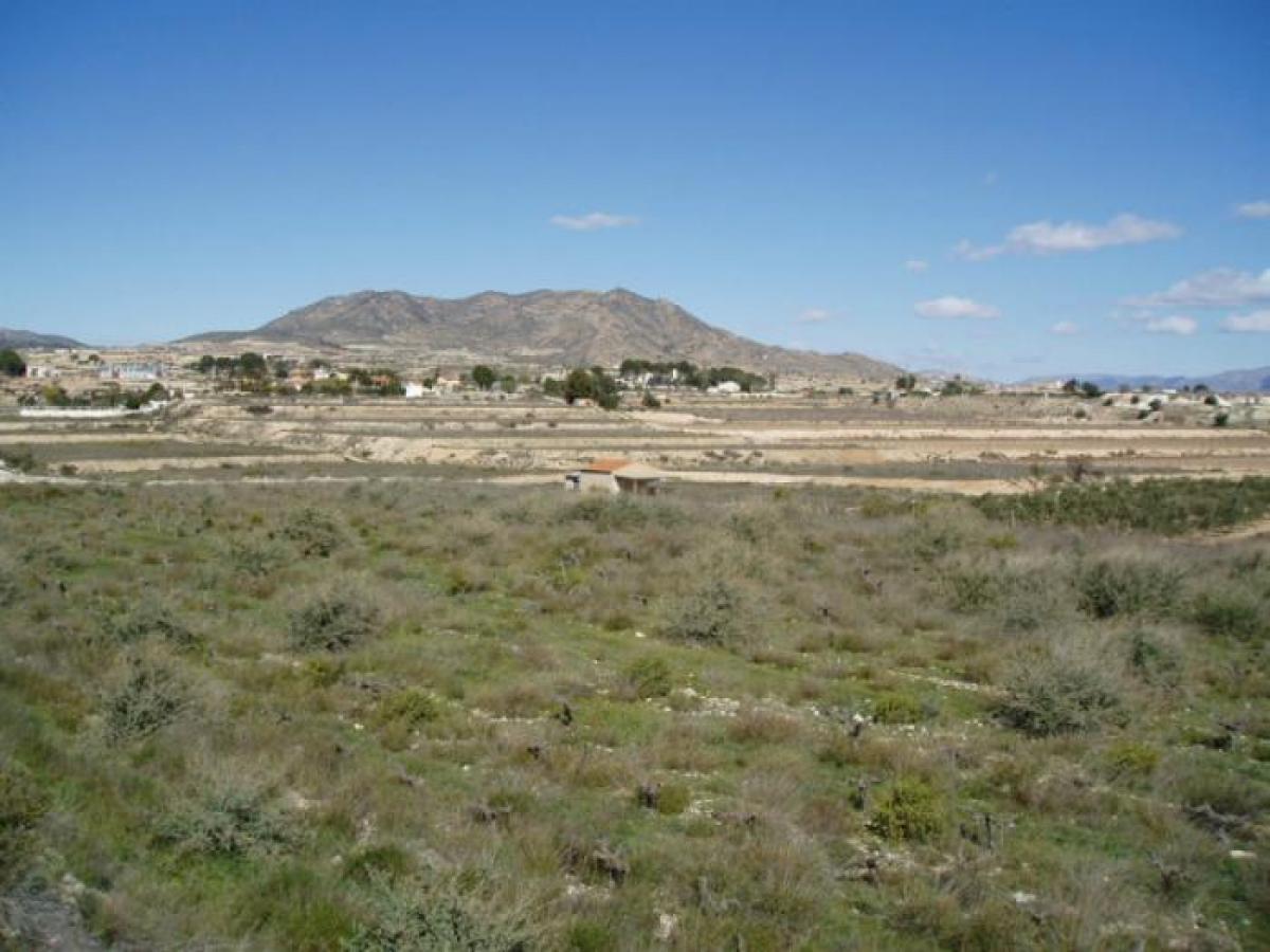 Picture of Residential Land For Sale in La Romana, Alicante, Spain