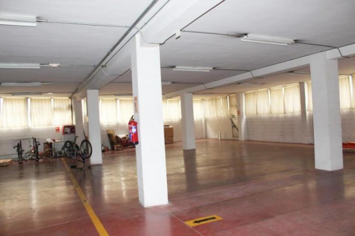 Picture of Home For Rent in Madrid, Madrid, Spain