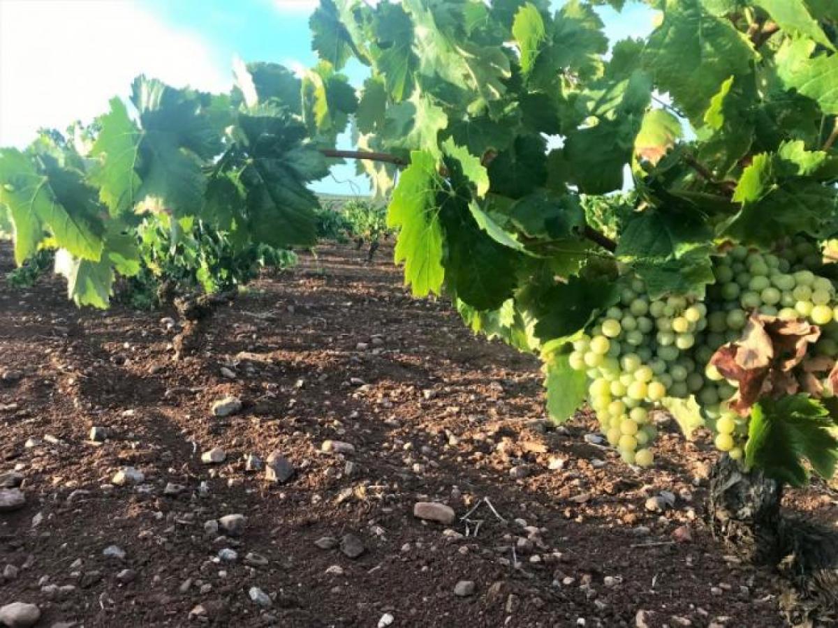 Picture of Residential Land For Sale in Santa Marta, Asturias, Spain