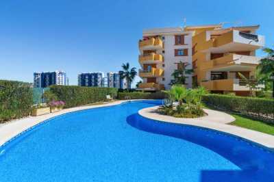 Apartment For Rent in Torrevieja, Spain
