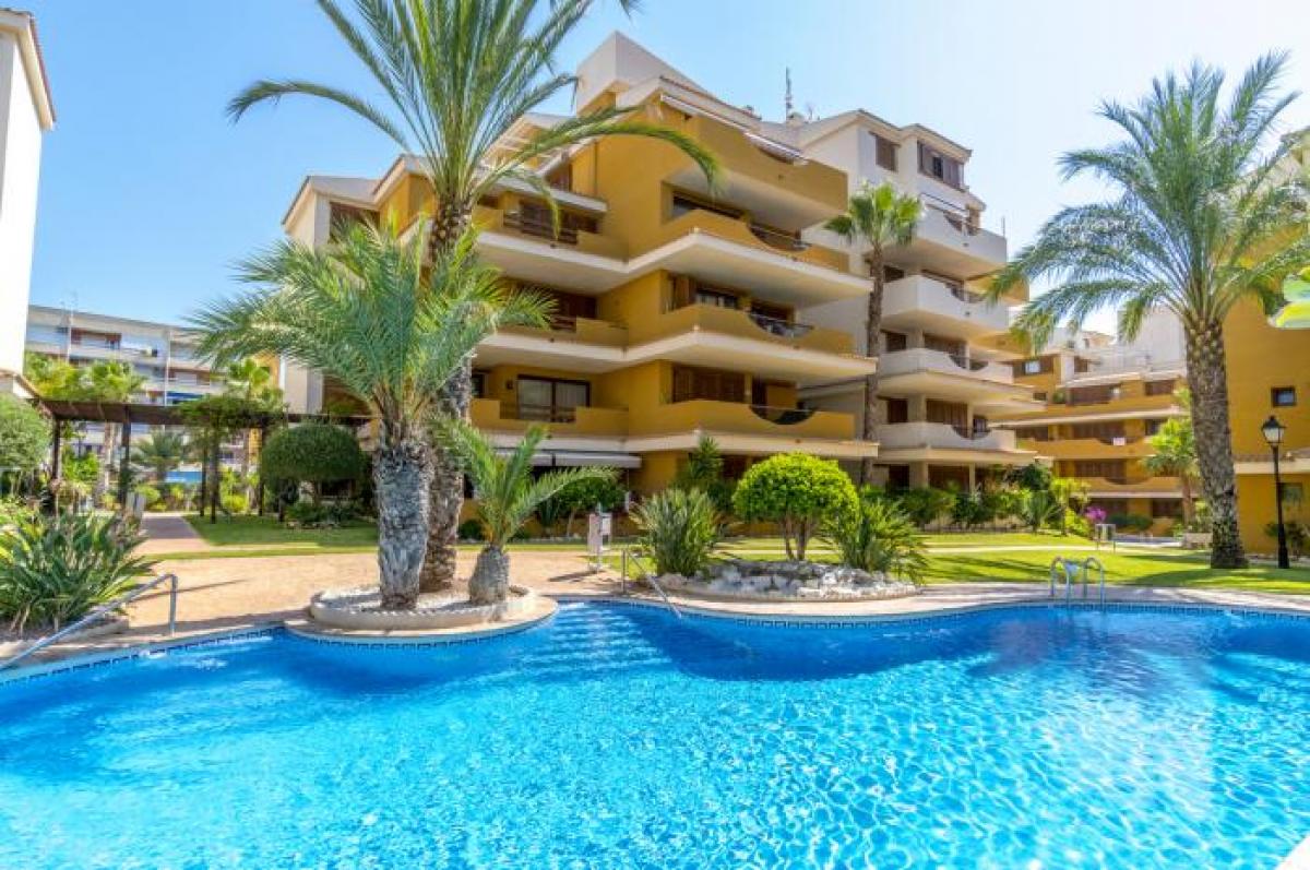 Picture of Apartment For Rent in Torrevieja, Alicante, Spain