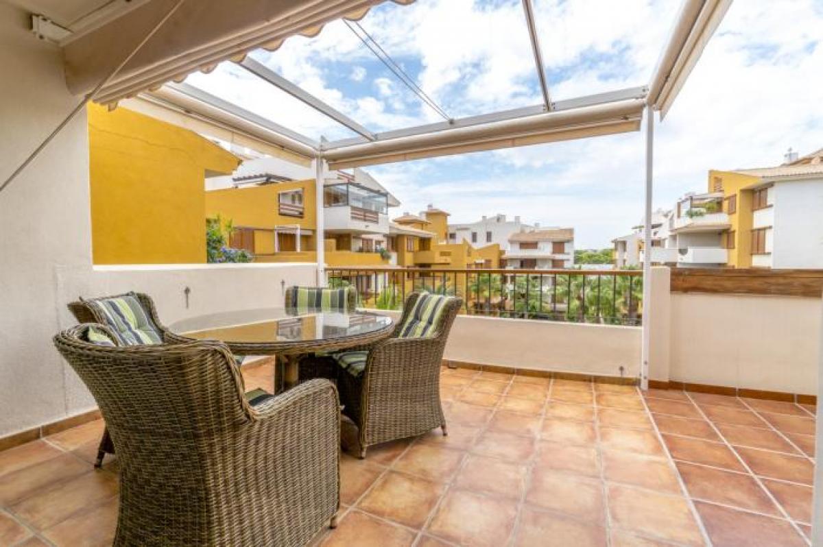 Picture of Apartment For Rent in Torrevieja, Alicante, Spain