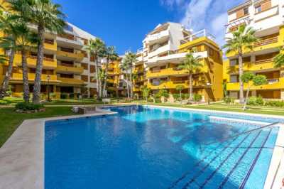 Apartment For Rent in Torrevieja, Spain