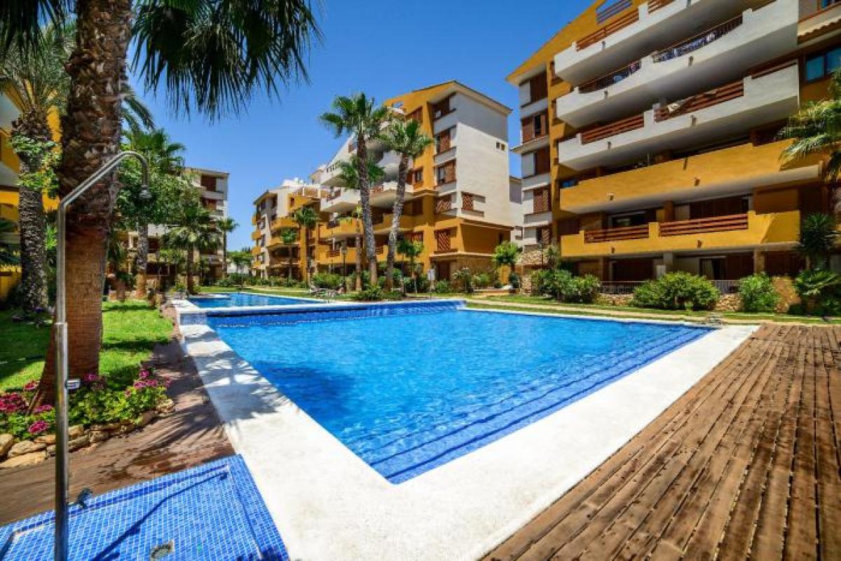 Picture of Apartment For Rent in Torrevieja, Alicante, Spain