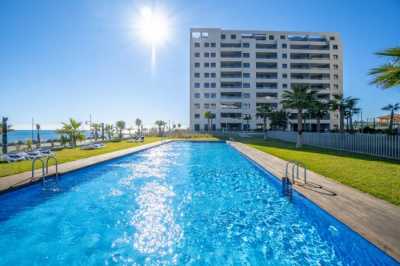 Apartment For Rent in Torrevieja, Spain