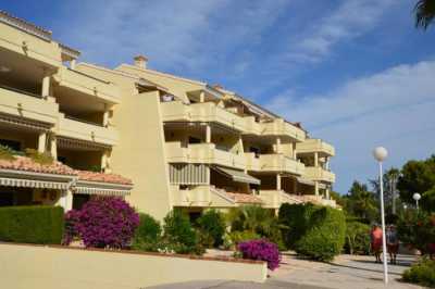 Apartment For Rent in Orihuela Costa, Spain